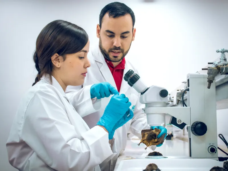 Biología Javeriana Cali