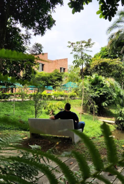 javeriana-biodiversidad-ciencia-articulo-consejo-cali javeriana-biodiversidad-ciencia-articulo-consejo-cali
